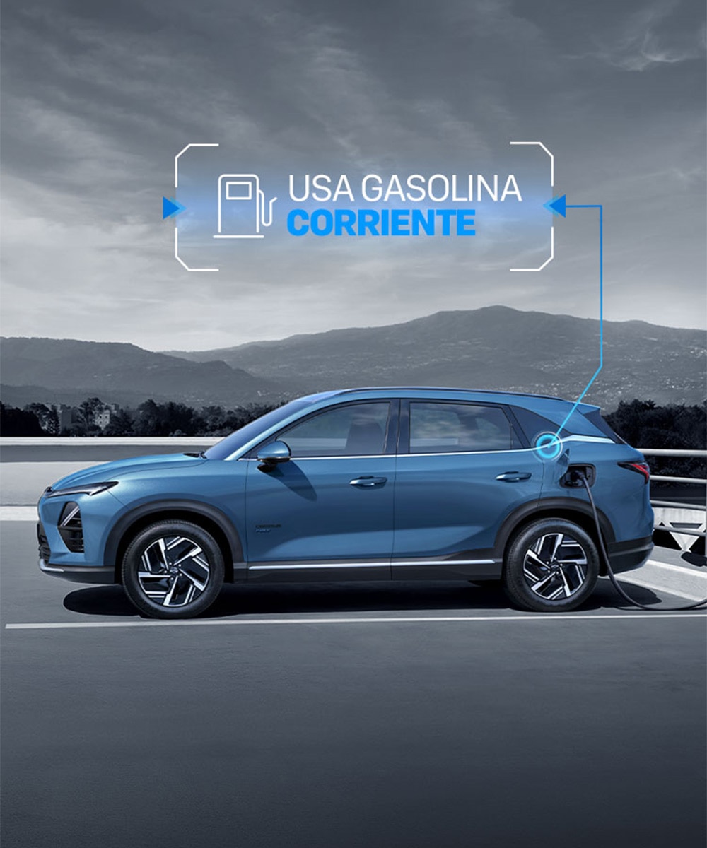 Usa gasolina corriente